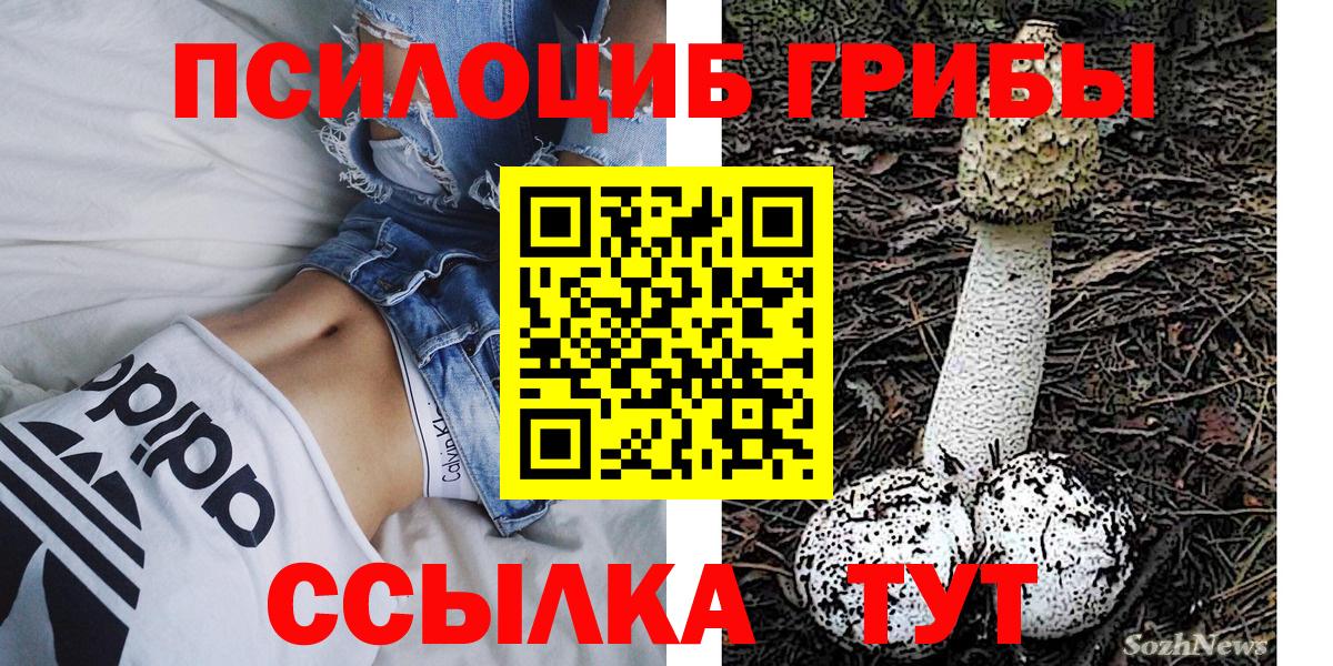 Псилоцибиновые грибы мухоморы Боровичи